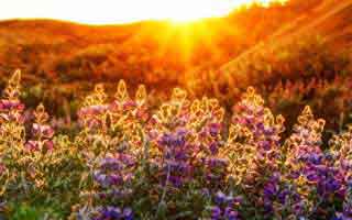 OpenAI Cofounder: Scaling Compute Isn't Enough for AI: Why Brute Force Has Its Limits & How True Innovation Re-Emerges